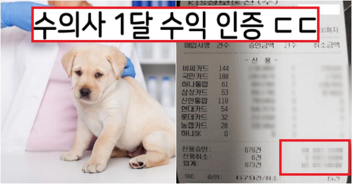 collage 119.png?resize=412,275 - '누가 회사돈 받아~ㅋ' 대기업 CEO보다 훨씬 많이 버는 동물병원 원장들 월매출 수준(+인증 사진)