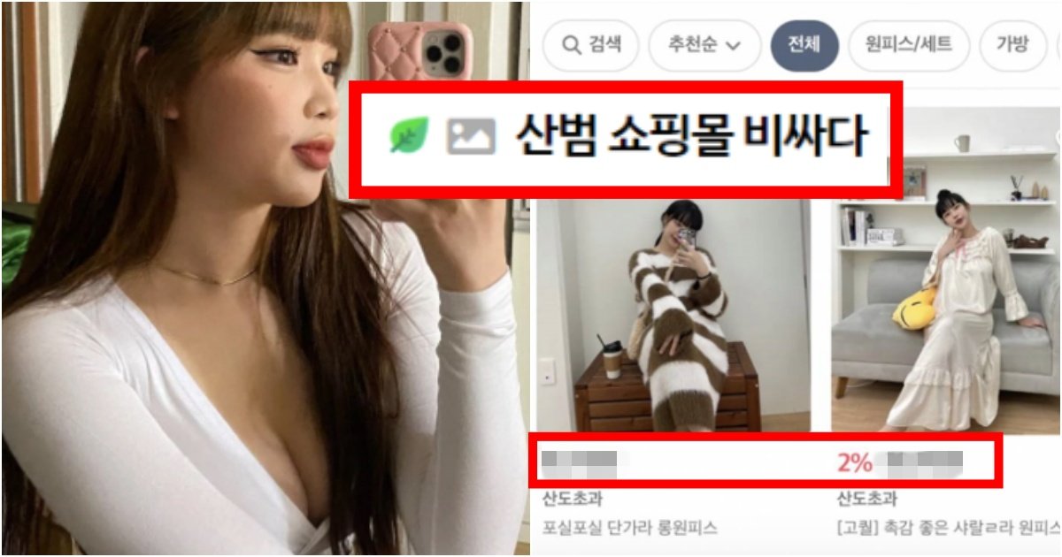 collage 123.jpg?resize=412,275 - ‘본인도 저거 안 입을듯ㅋ;;;’ 유튜버 산범이 쇼핑몰에서 판매하는 옷 수준(+가격, 댓글 반응)