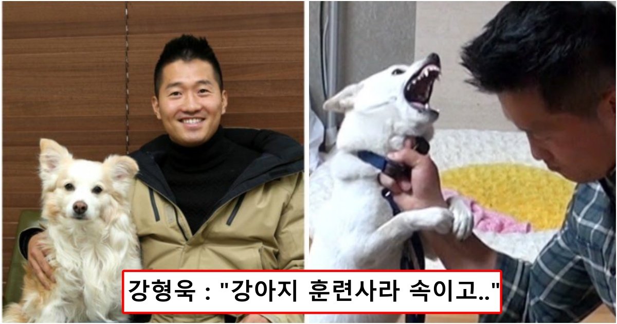 collage 125.jpg?resize=1200,630 - "강아지 훈련사라고 속였습니다.." 강형욱이 갑자기 직접 밝힌 사람들이 몰랐던 거짓말