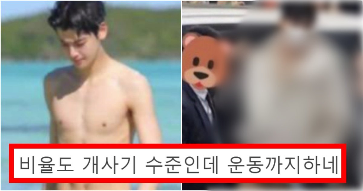 collage 132.jpg?resize=412,275 - ‘저런 애들은 운동 못하게 해’ 현재 마음먹고 벌크업하니 마동석 뺨치는 차은우 몸 수준(+전 후 사진)