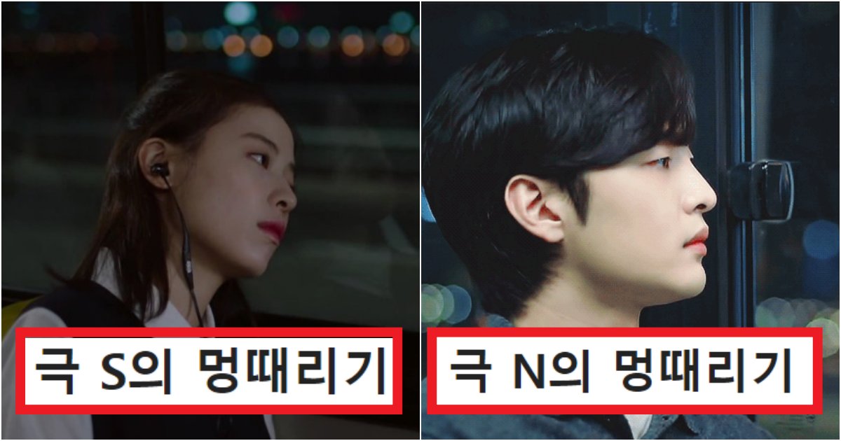collage 134.png?resize=412,275 - '진짜 이렇게 생각한다고?????' 달라도 너무 다른 S와 N의 멍 때리는 방법(+사진, 실제 댓글 반응)
