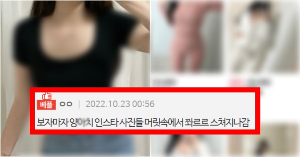 collage 144.jpg?resize=412,275 - ‘여기서 그렇게들 사재꼈네..’ 많은 동네 양아치들이 옷을 구매하는 쇼핑몰의 수준(+사진, 댓글 반응)