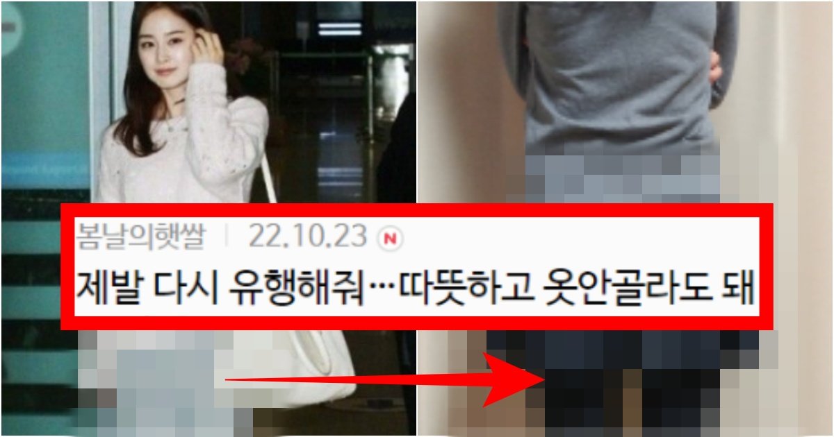 collage 145.jpg?resize=412,275 - ‘이거 국룰이었지ㅋㅋㅋㅋㅋ’ 한때 안 입어본 사람 없다던 국민템 수준(+정체, 댓글 반응)