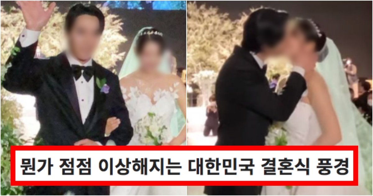collage 150.jpg?resize=412,275 - ‘혼인율, 출산률 박살나는 이유ㅋ’ 진짜 제정신 아닌 것 같다고 심각해진 대한민국 결혼식 풍경(+사진, 댓글 반응)