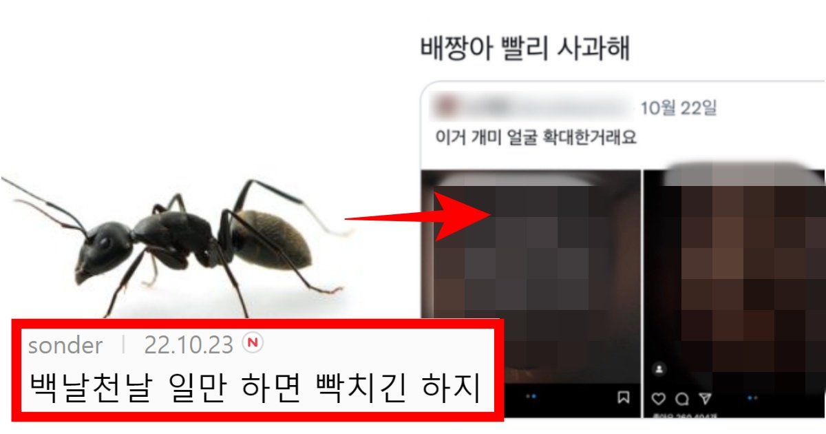 collage 166.jpg?resize=412,275 - ‘악마가 울고 가겠다ㅋㅋㅋㅋ’ 개미 얼굴 사진을 확대했더니 벌어진 대참사(+사진, 댓글 반응)