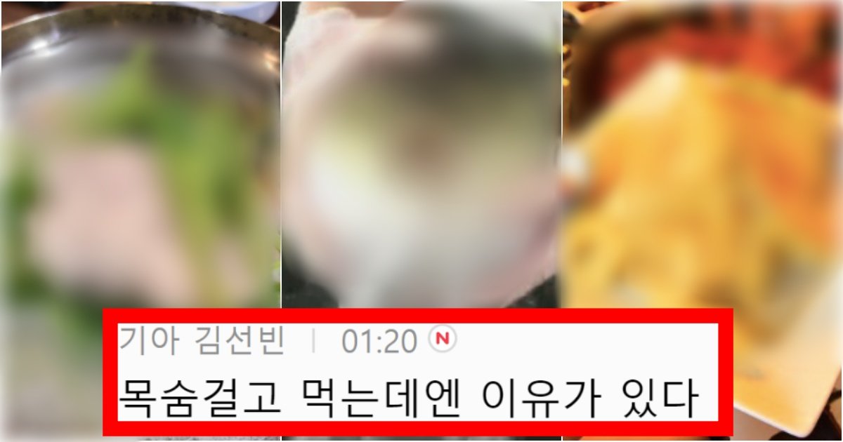 collage 179.jpg?resize=412,275 - ‘이 정도면 먹지말라는 거야ㅡㅡ’ 대체 인간들이 어쩌다 얘를 먹기 시작했을지 의문인 것(+정체, 댓글 반응)