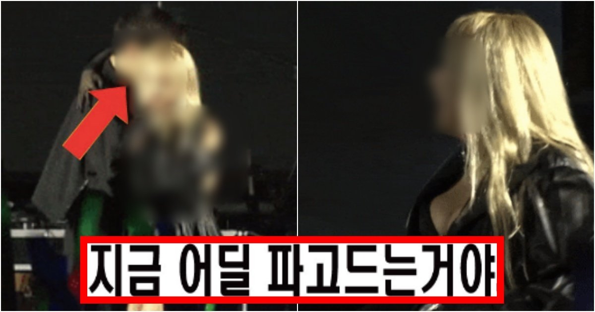 collage 21.jpg?resize=412,275 - ‘진짜 놀래보인다;;;;’ 중앙대 축제 무대 중 남자 관중이 올라와 씨엘한테 해버린 충격적인 만행(+영상, 대처법)