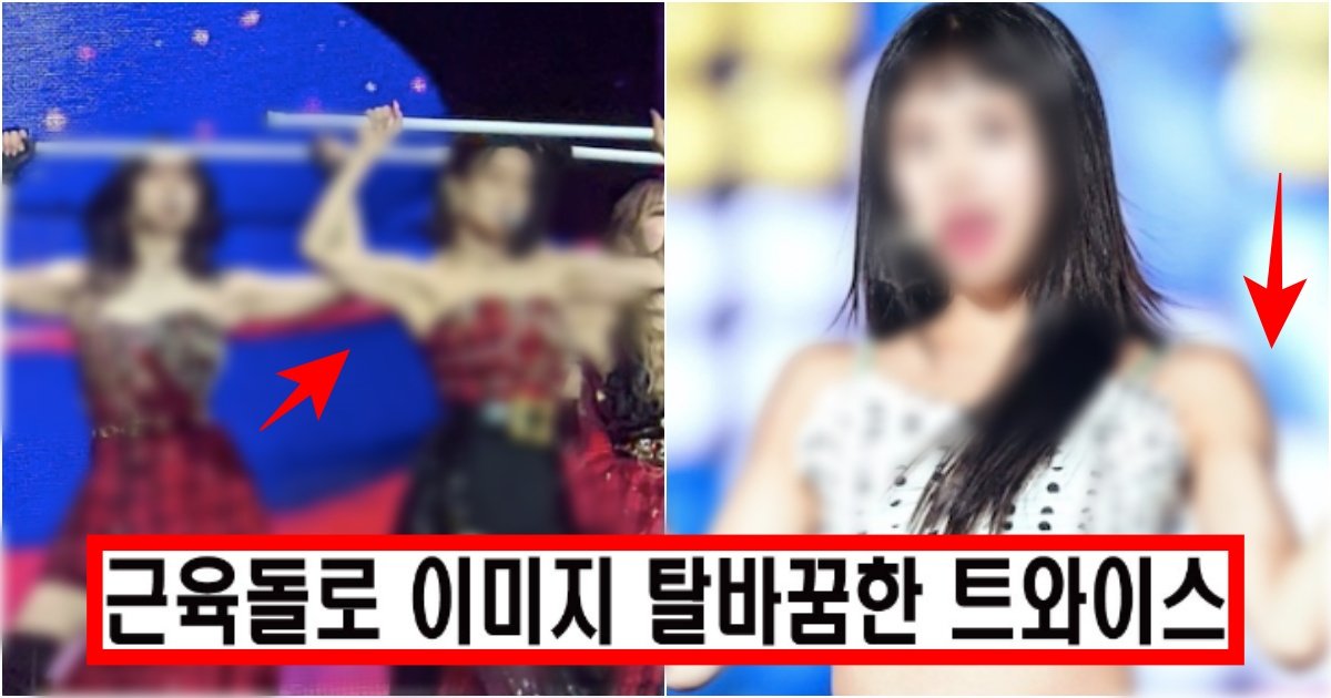 collage 22.jpg?resize=412,275 - ‘바프 수준인데..?’ 헬스에 미쳐버렸다는 트와이스 멤버들의 근육질 수준 (+멤버, 사진)