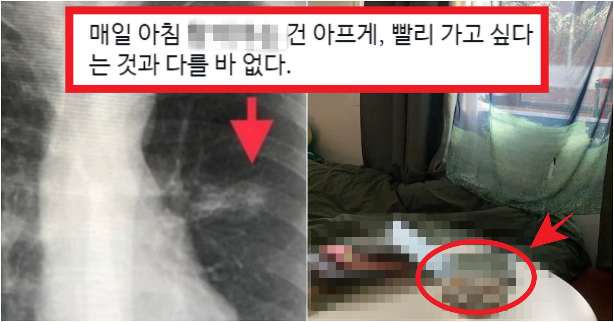 collage 23.png?resize=412,275 - '심신 안정, 냄새 제거에 최고???' 많은 사람들 집에 있는 '이것' 폐암의 원인(+정체, 이유)