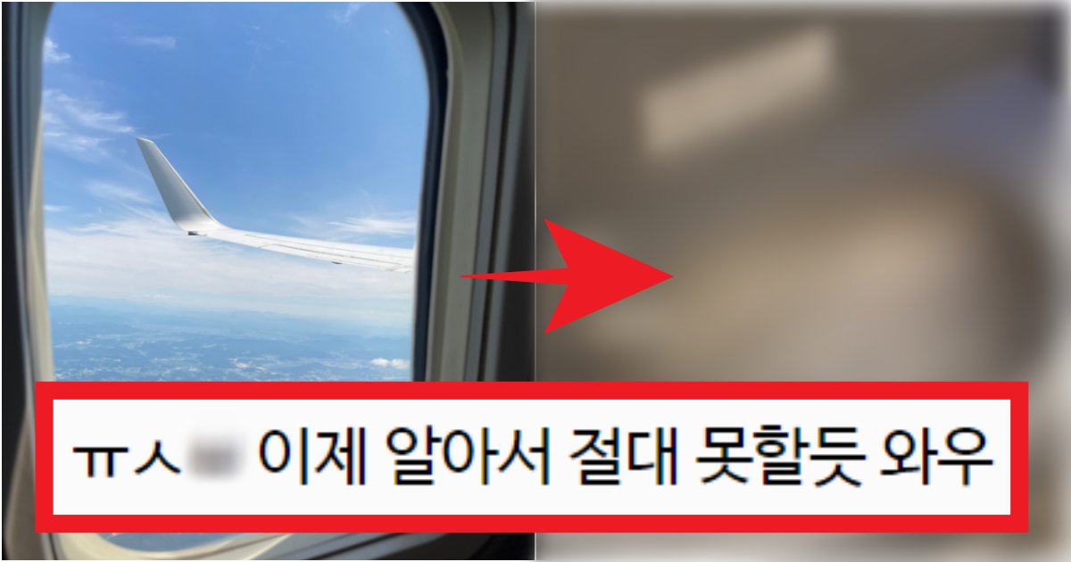 collage 37.png?resize=412,275 - '난 승무원인데 절대 안 함' 비행기에서 절대적으로 필요하지만 절대 필요로 하면 안된다는 것(+이유, 댓글 반응)