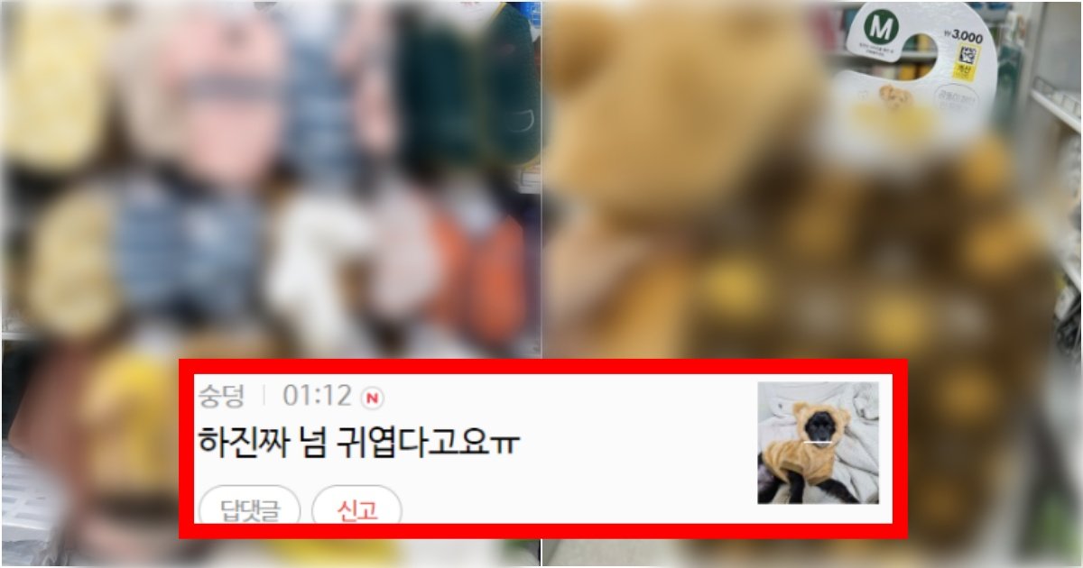 collage 54.jpg?resize=412,275 - '이거는 진짜 안 사면 큰일이다' 다이소에서 10월 첫째 주 신상 강아지 옷 출시한 수준(+사진, 후기)