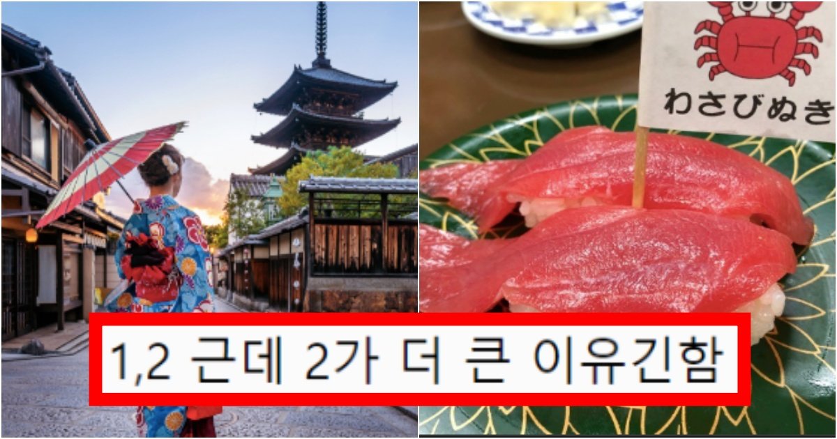 collage 80.jpg?resize=412,275 - ‘이런데도 간다고? 왜 감?’ 일본 여행은 절대 거들떠도 안 보는 사람들 유형(+5가지 이유, 댓글 반응)