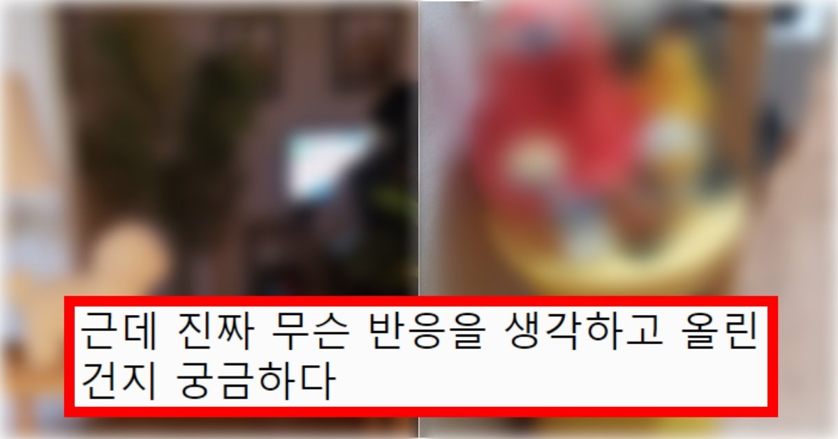 collage 91.jpg?resize=412,275 - ‘자취방이냐???’ 커뮤에다가 신혼집 올렸다가 악플 900개 넘게 달려버린 신혼집 수준(+사진, 댓글 반응)