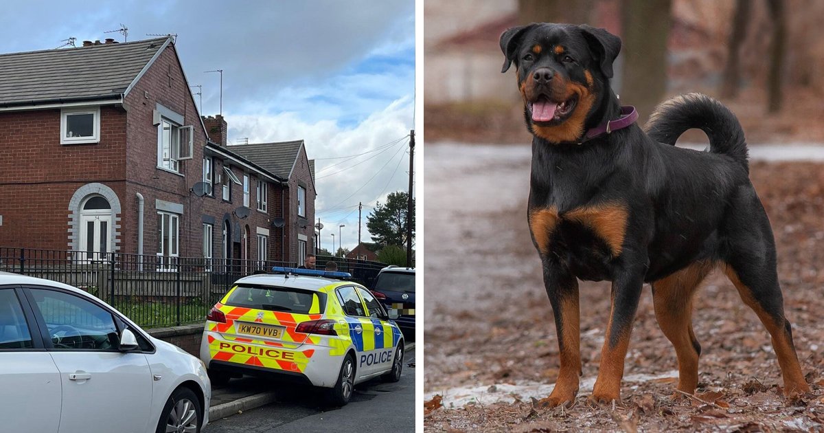 d127.jpg?fit=1024%2C538&ssl=1&strip=all - BREAKING: Armed Police Officials DESTROY Dog After Two Women Were Mauled To DEATH By The Violent Animal