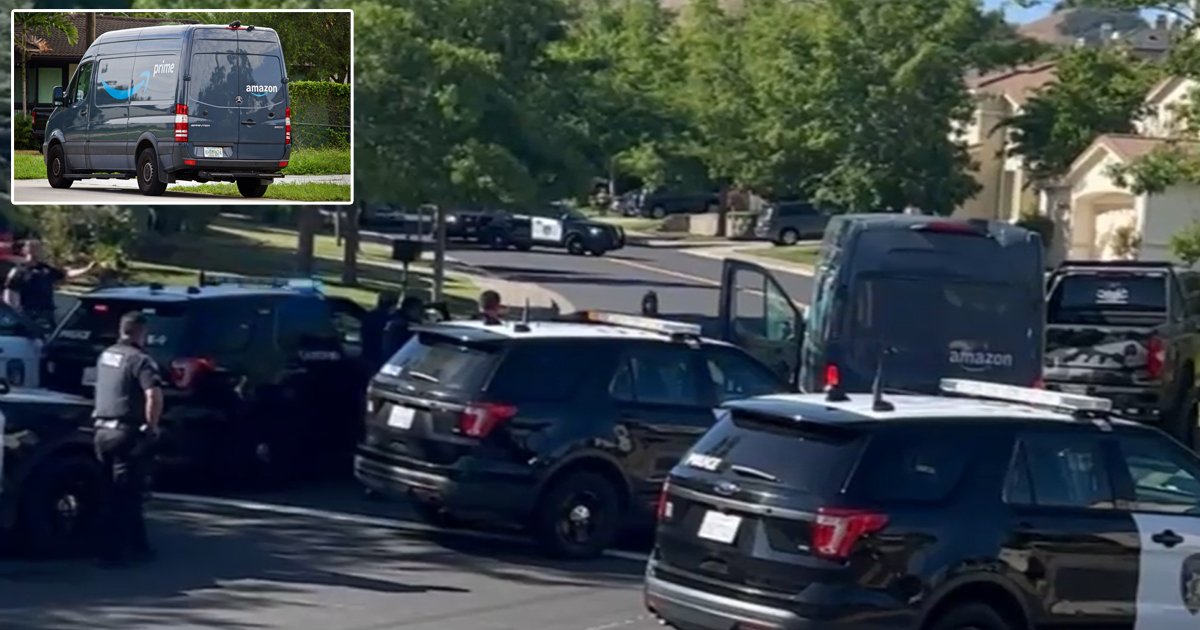 d160.jpg?fit=1024%2C538&ssl=1&strip=all - BREAKING: Two Dogs Shot Dead After Amazon Driver 'Mauled To Death' While Delivering Packages