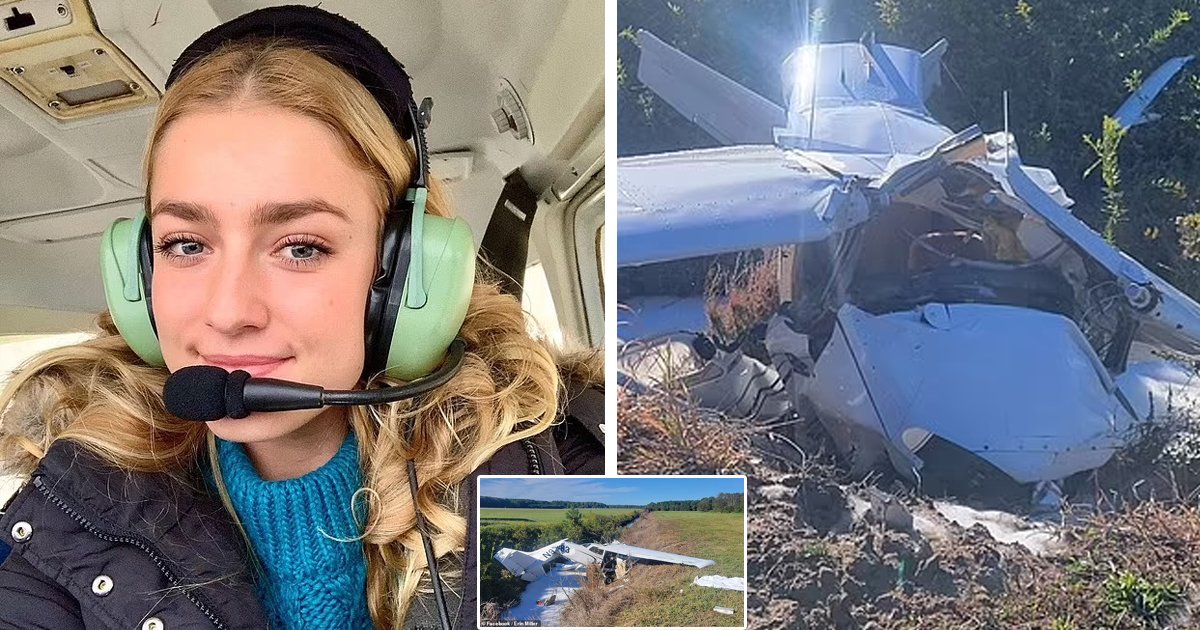 d30.jpg?resize=412,232 - BREAKING: Heartbreak As Student Causes Plane Crash That KILLS Renowned Flight Instructor