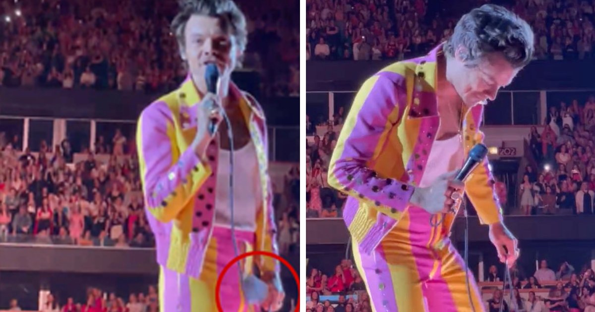 d84.jpg?resize=412,275 - BREAKING: Harry Styles Doubles Over After Being ATTACKED In Groin With Bottle While Performing On Stage