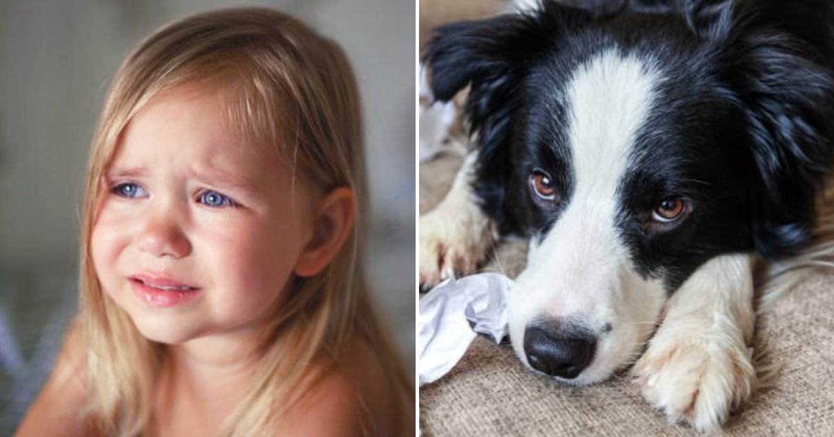 doggy5.jpg?resize=412,275 - 'My Daughter Broke Down In Tears After I Got Rid Of Her Dog Without Telling Her Because I No Longer Wanted To Put Up With It’s Behavior'