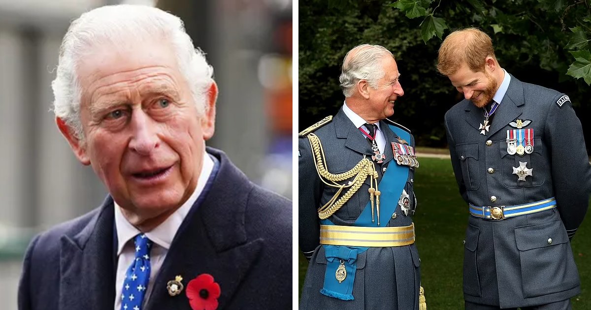 t2 5.png?resize=1200,630 - BREAKING! King Charles Wants A 'Reconciliation' With Prince Harry While Confirming He's 'Devastated' By What Has Happened In Recent Times