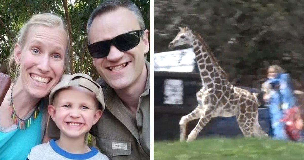 t4 10.png?resize=1200,630 - BREAKING: Baby Girl TRAMPLED To Death While Mom Left Fighting For Life As Giraffes At Wildlife Park Attacked Them
