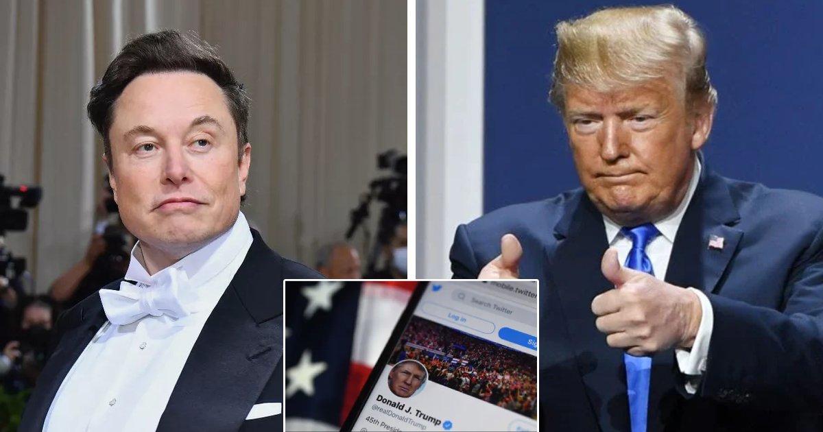 t4 2 2.png?resize=1200,630 - BREAKING: Trump Vows To Stand By His Own Platform Despite Being Welcomed To Twitter By Elon Musk