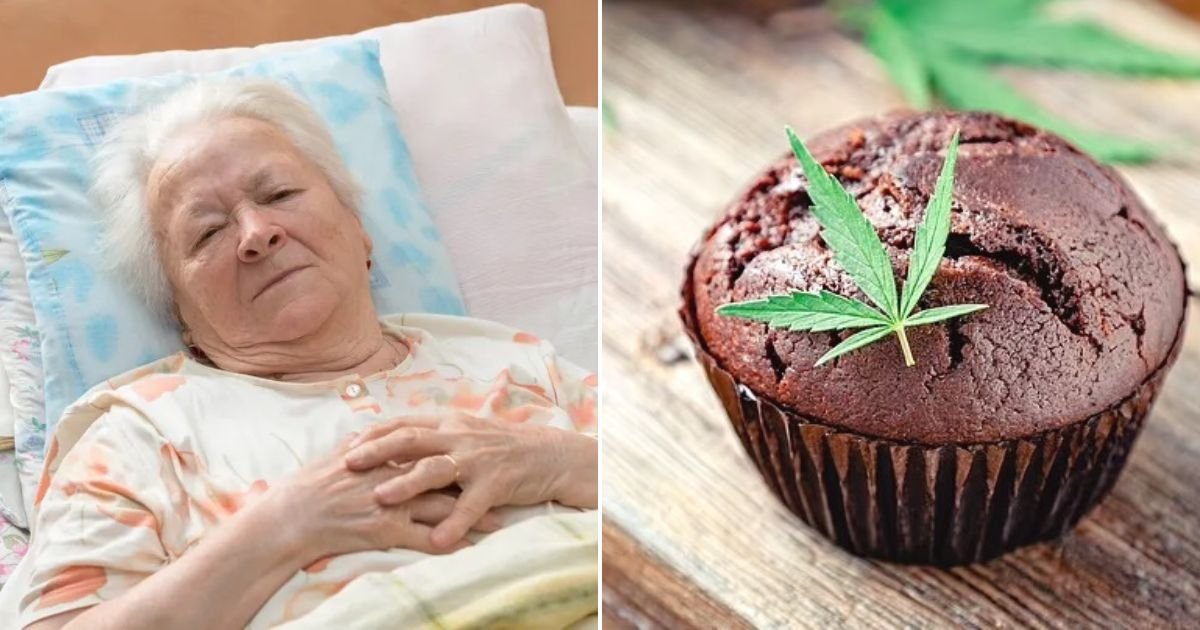 untitled design 39.jpg?resize=1200,630 - Grandmother PASSES OUT At Wedding After Eating A Cupcake Laced With Cannabis