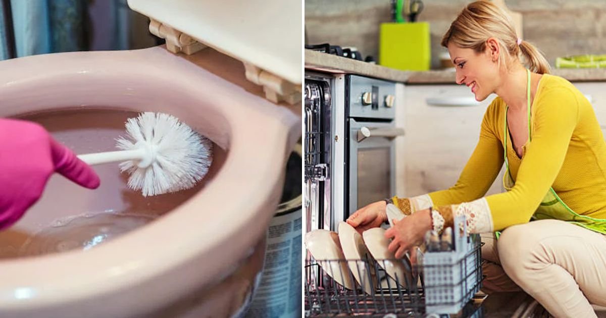 brush4.jpg?resize=1200,630 - 'Where Else Would I Put It?!' Woman Stores Her TOILET BRUSH In The Dishwasher And Friends Are Left Disgusted