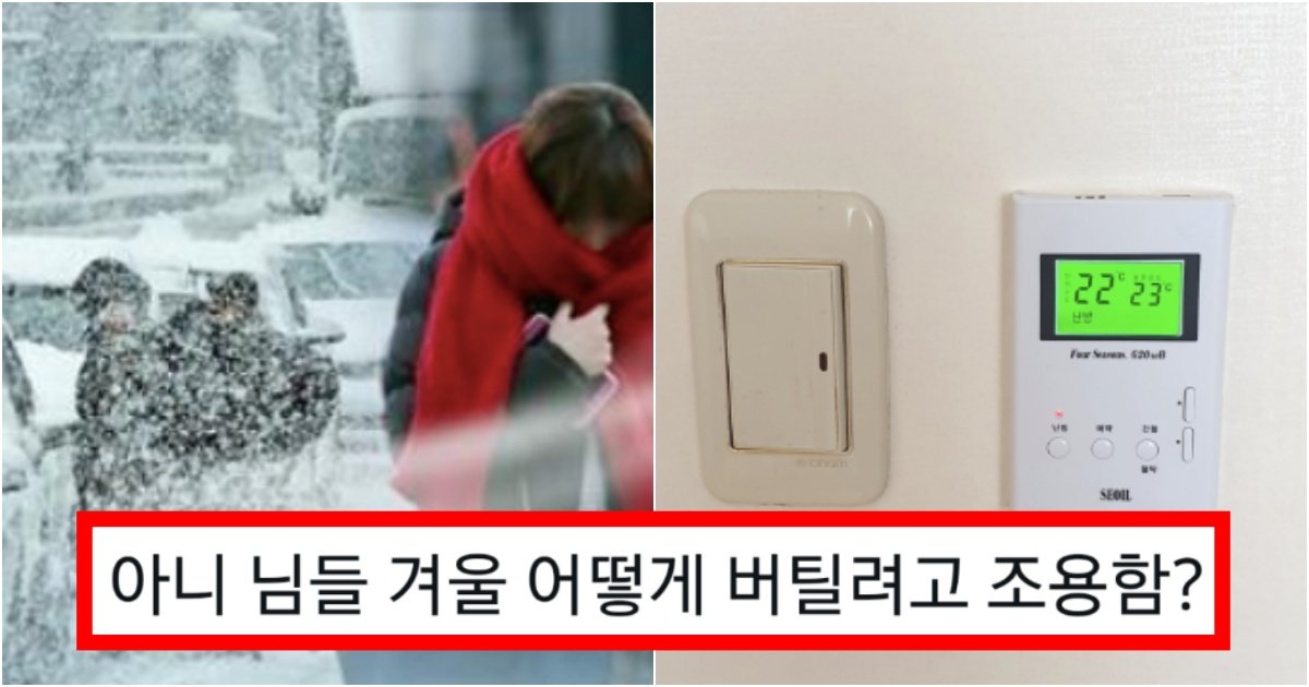 collage 122.jpg?resize=412,275 - ‘진짜 모르시면 큰 손해 봅니다’ 이번 겨울 진짜 이 악물어야 하는 역대급 이유(+사진)