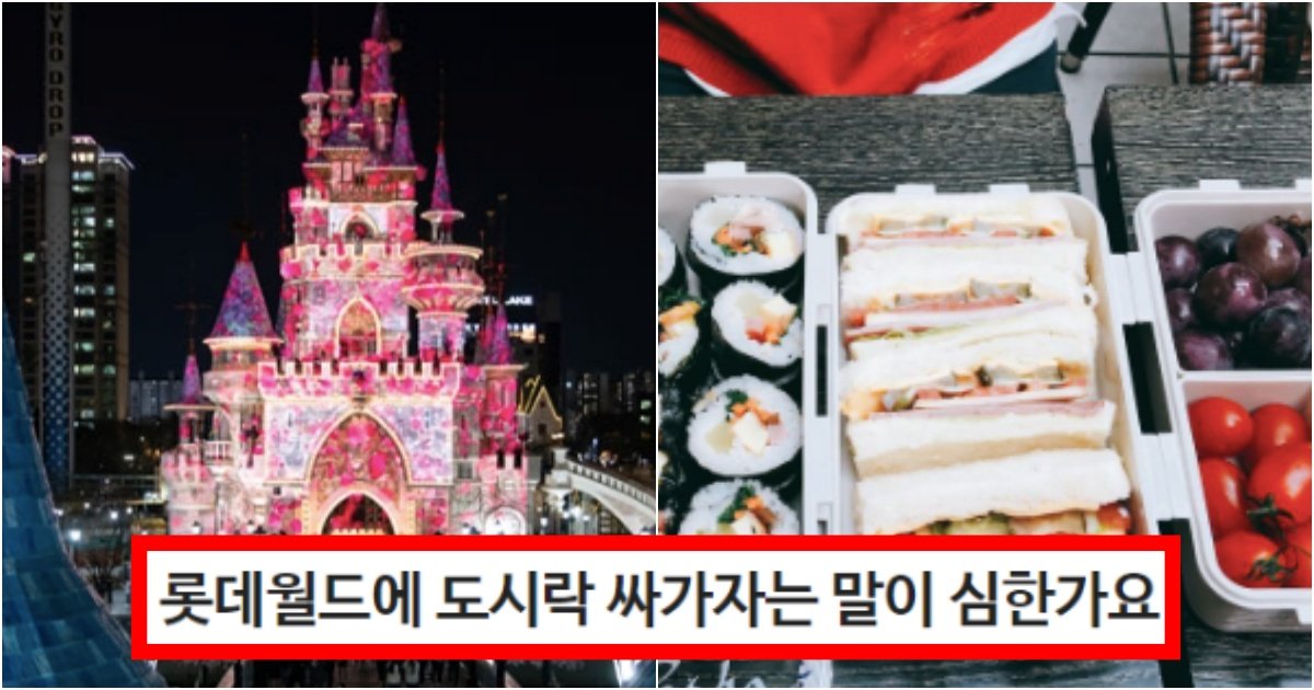 collage 125.jpg?resize=412,275 - “롯데월드에 도시락을 직접 싸가서 먹자고 했는데, 그렇게 제가 거지근성인가요..?”
