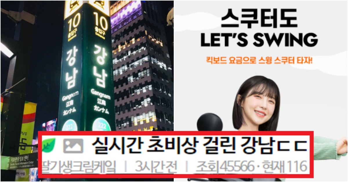 collage 17.png?resize=412,275 - '킥보드, 자전거로 부족해서 하는 거예요^^~' 실시간 초비상 걸려버린 강남 수준(+이유, 댓글 반응)