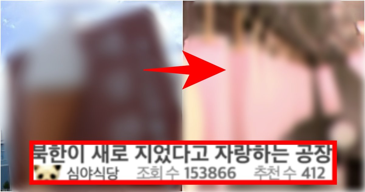 collage 35.jpg?resize=412,275 - ‘우리 북한의 자랑입니다(으쓱)^^~~’ 북한이 이번에 새로 지었다고 자랑하는 공장 수준(+정체, 사진)