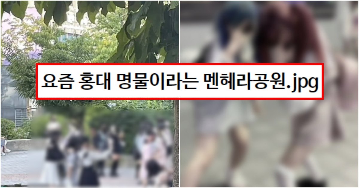 collage 40.jpg?resize=412,275 - ‘트위터 틱톡에 있는 실제 사람들ㅋ;;’ 요즘 홍대가면 명물이라는 멘헤라공원 수준(+용어 설명, 실제 사진)