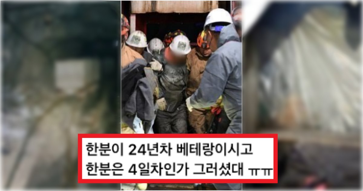 collage 5.png?resize=412,275 - '저런 곳에서...? 공간이.. ' 생환한 봉화 광산 고립자 2명이 지냈던 충격적인 갱도 수준(+사진)