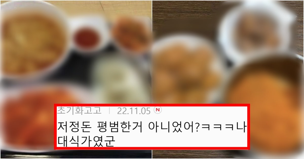 collage 69.jpg?resize=412,275 - ‘이 정도는 히밥, 웅이만 가능한 거 아님?’ 대식가들이 먹는다는 만족스러운 한끼 양 수준(+사진, 댓글 반응)