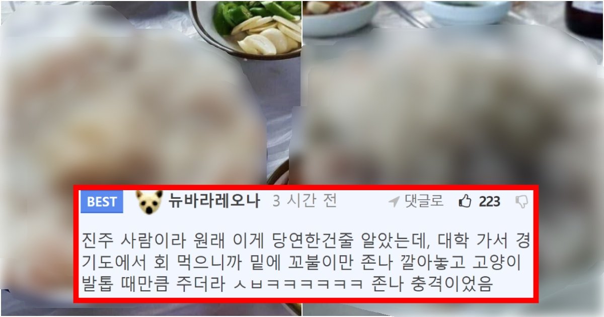 collage 84.jpg?resize=412,275 - ‘서울권 사람들 안쓰럽다...ㅠ’ 호불호 제대로 나뉜다는 경남식 회 스타일(+사진, 댓글 반응)