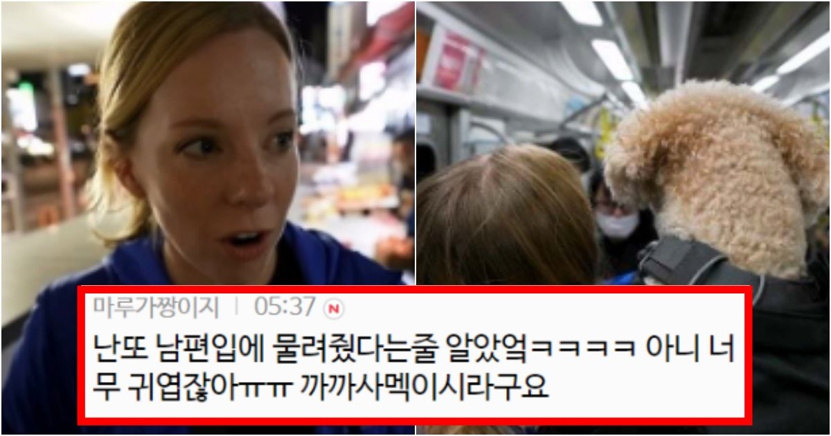 collage 97.jpg?resize=412,275 - ‘한국 문화인데요~ㅠ????’ 한국와서 구경하고 있는데 갑자기 돈을 줘서 기분 나빴던 외국인(+반전, 이유)
