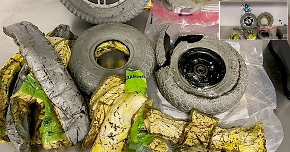 d65.jpg?resize=412,275 - BREAKING: Elderly Woman BUSTED At JFK Airport While Trying To Smuggle '28 Pounds Of Cocaine' In The Tires Of Her Wheelchair