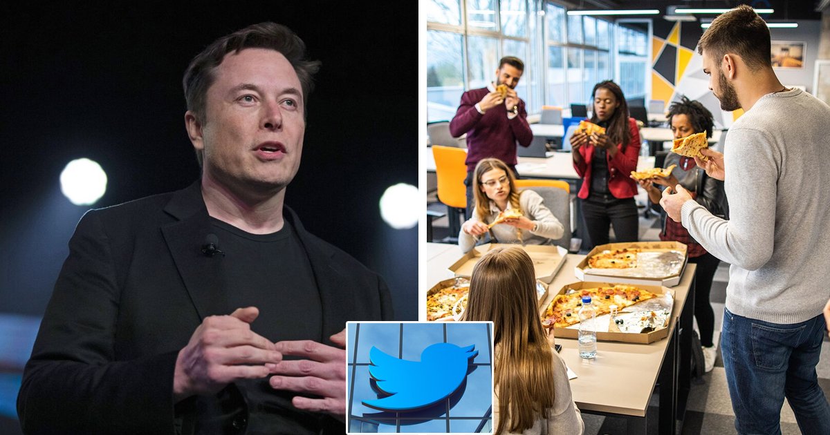 d67.jpg?resize=412,232 - BREAKING: Elon Musk Causes 'Fresh Outrages' After ENDING 'Free Lunches' For All Twitter Employees
