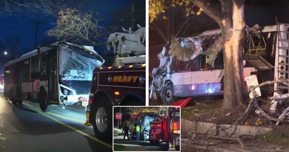 d96.jpg?resize=1200,630 - BREAKING: Horror Bus Crash In Massachusetts Leaves One Student DEAD And DOZENS More Injured