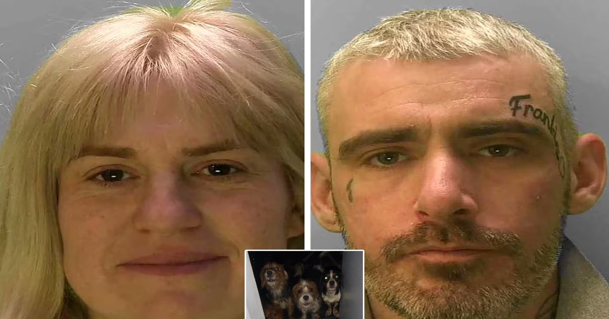 t1 10.png?fit=1024%2C538&ssl=1&strip=all - BREAKING: Cruel Couple Leave Their SEVEN Kids Crammed In A House With 35 Dogs