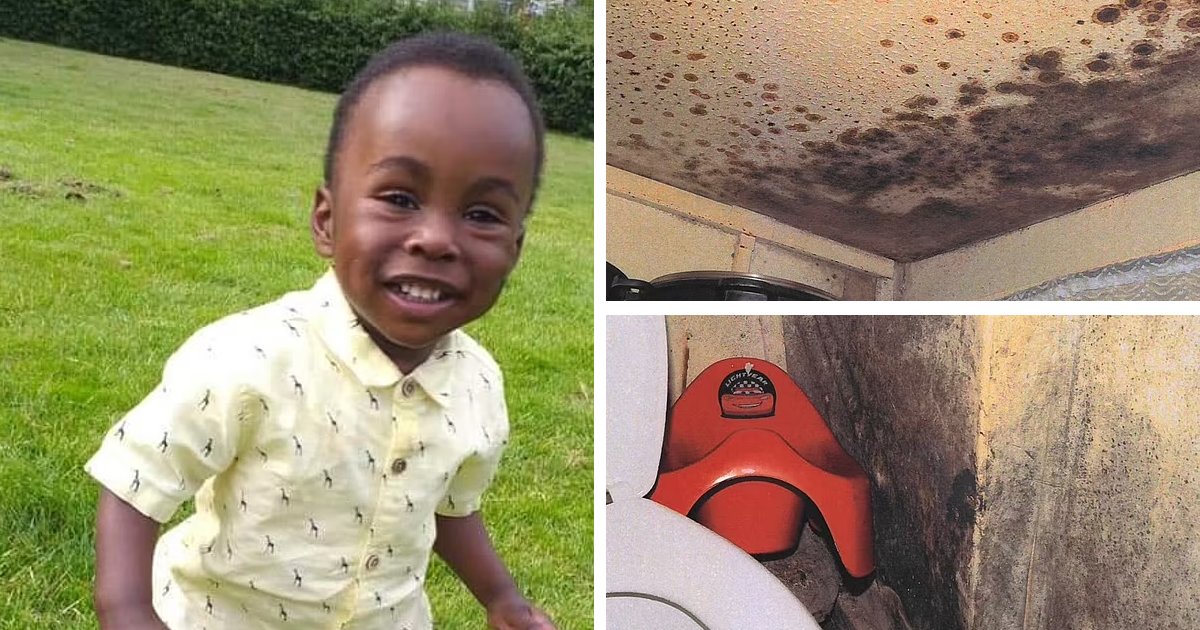 t3 11.png?fit=1024%2C538&ssl=1&strip=all - BREAKING: Two-Year-Old Boy DIES After Living In 'Mold-Infested' Rented Apartment