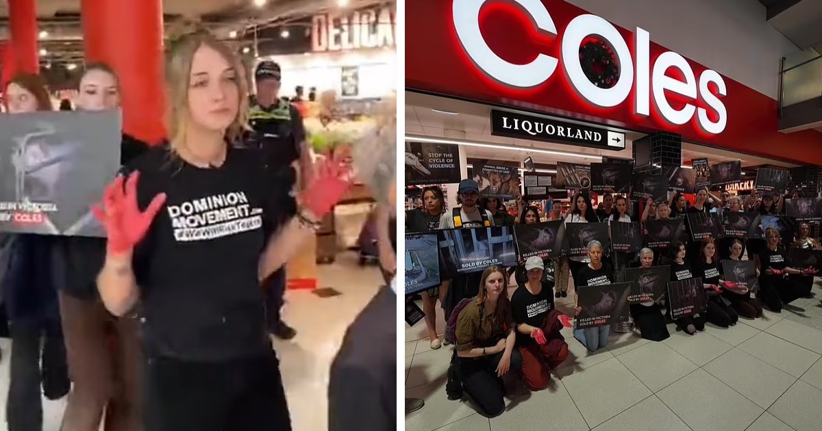 t3 8.png?fit=1024%2C538&ssl=1&strip=all - JUST IN: Angry Vegans Seen Storming Meat Aisles Of Leading Stores & BLOCKING People From Buying Meat