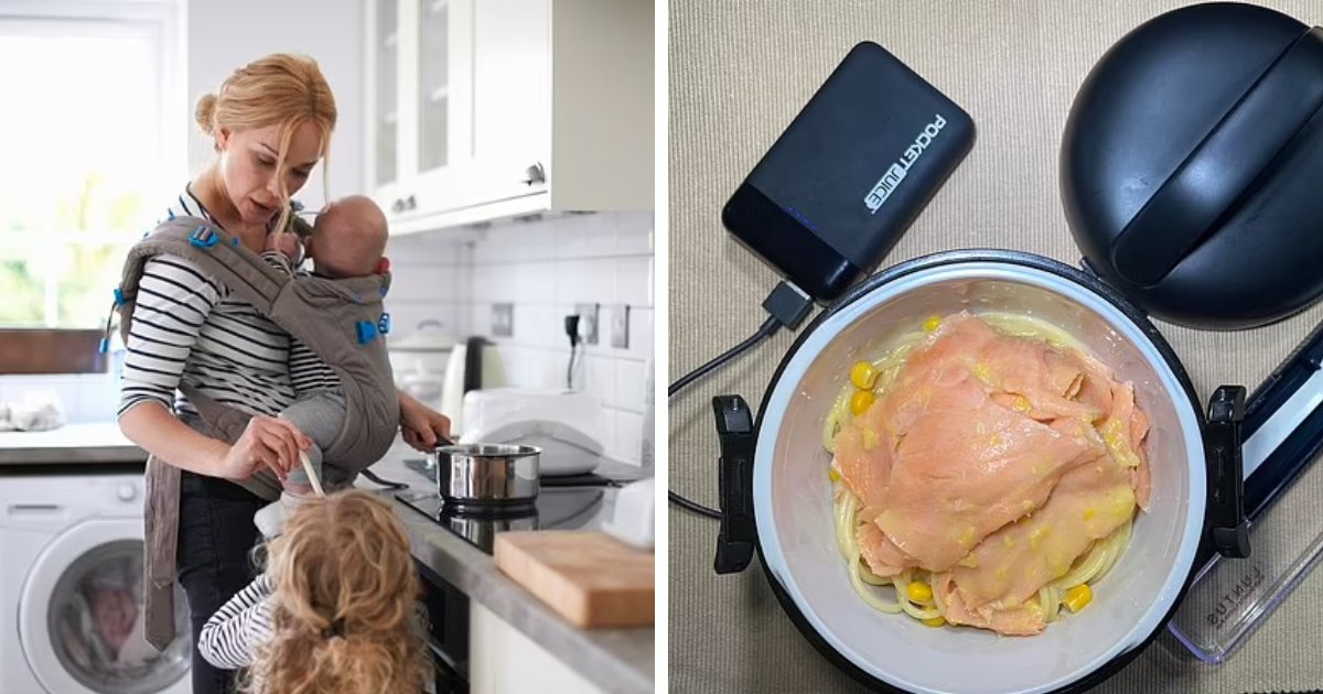 t3 9.png?fit=1024%2C538&ssl=1&strip=all - "This Really Upsets Me!"- Mother Says Her Child's Fancy Lunchbox Has OFFENDED Many Parents
