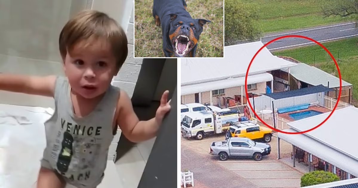 t6 12.png?resize=1200,630 - BREAKING: Mom's 'Split-Second' Decision Revealed Before Two Dogs MAULED Her 2-Year-Old Son To DEATH