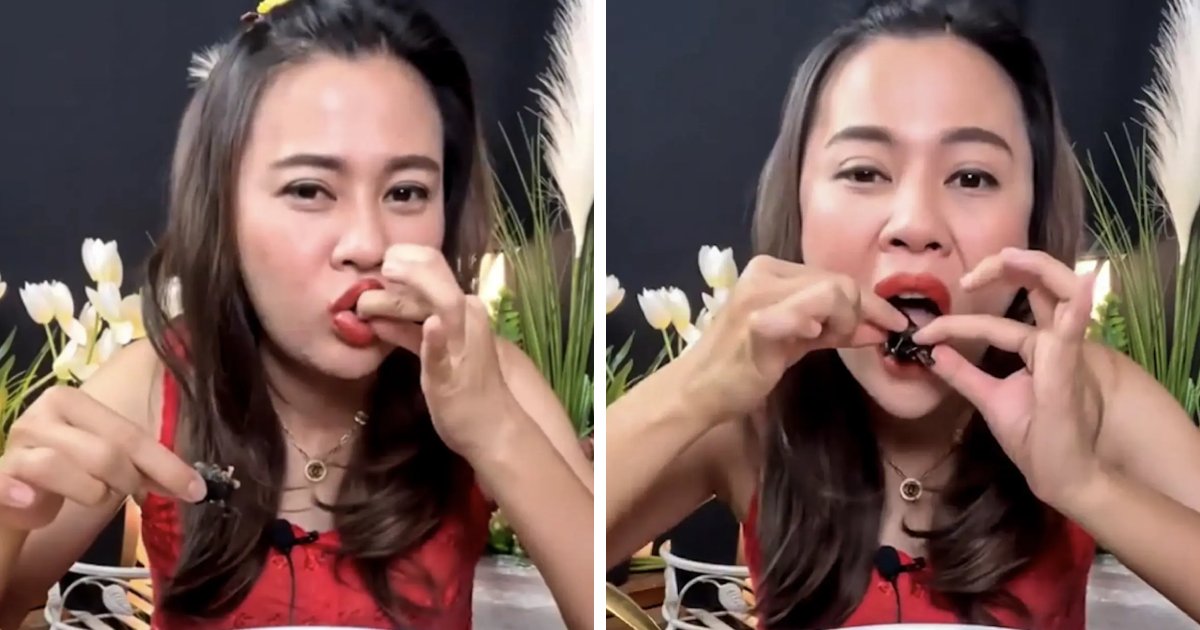 t6 14.png?resize=412,275 - BREAKING: YouTuber ARRESTED For Eating 'Bat Soup' On Video