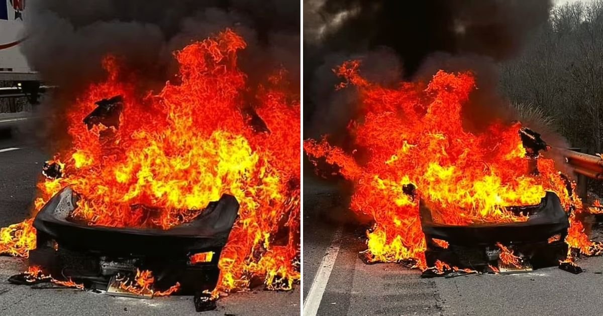 tesla5.jpg?resize=412,275 - BREAKING: Couple And Their Daughter Are On A Road Trip When Their Tesla Suddenly BURST Into Flames