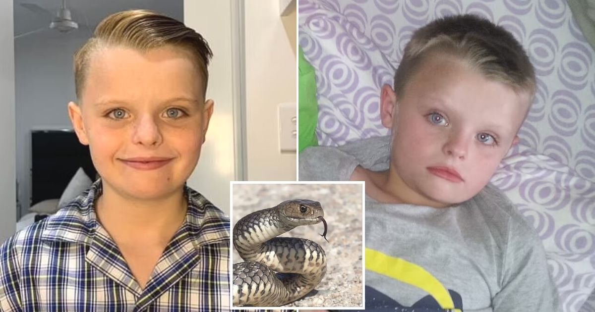 untitled design 37.jpg?resize=412,232 - BREAKING: Father Whose Son Died From A Snake Bite Is Now Charged With MANSLAUGHTER