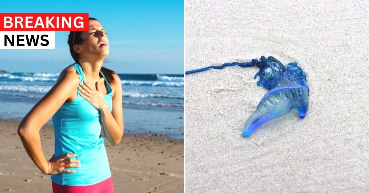 breaking 31.jpg?resize=1200,630 - JUST IN: Teenager Hospitalized After SWALLOWING A Venomous Jellyfish-Like Creature