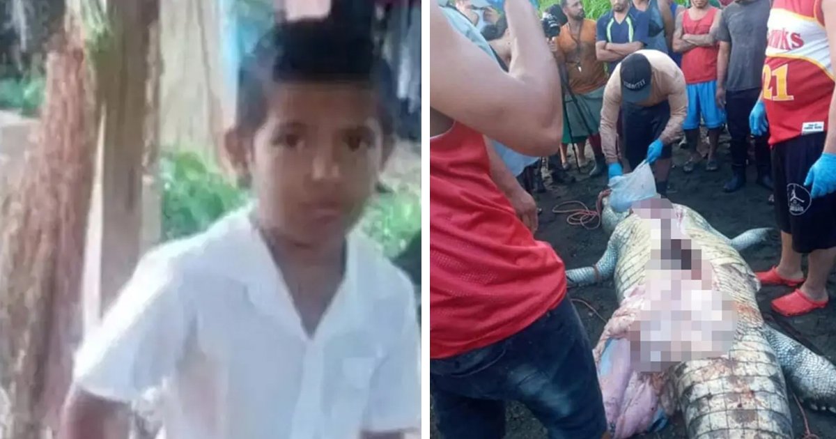 d152.jpg?fit=1024%2C538&ssl=1&strip=all - BREAKING: 8-Year-Old Boy DIES After Being Mauled By GIANT Crocodile In Front Of His Parents