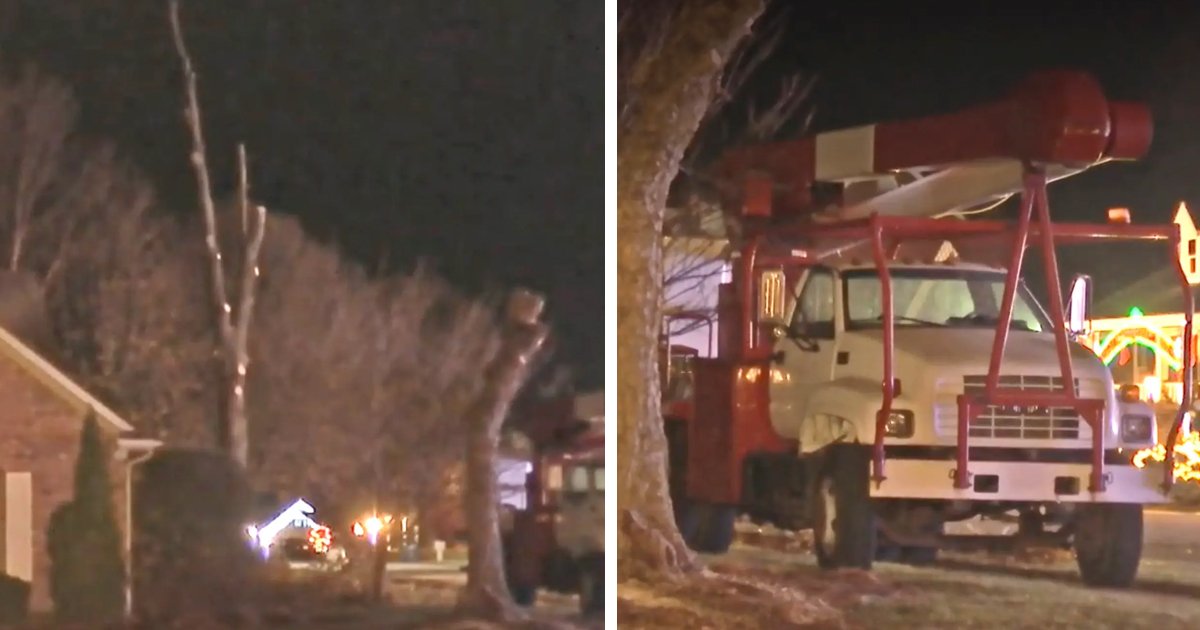 d153.jpg?resize=1200,630 - "We Were Counting The Days Until Christmas!"- Family's Tragedy As Man DIES After Falling Into Wood Chipper Near A Christmas Display